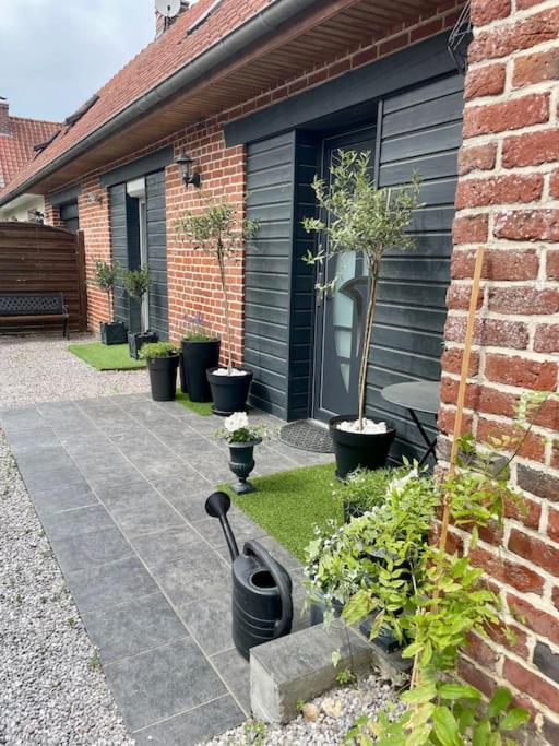 Le Clos Des Glycines Saint-Martin-Lez-Tatinghem Exteriör bild