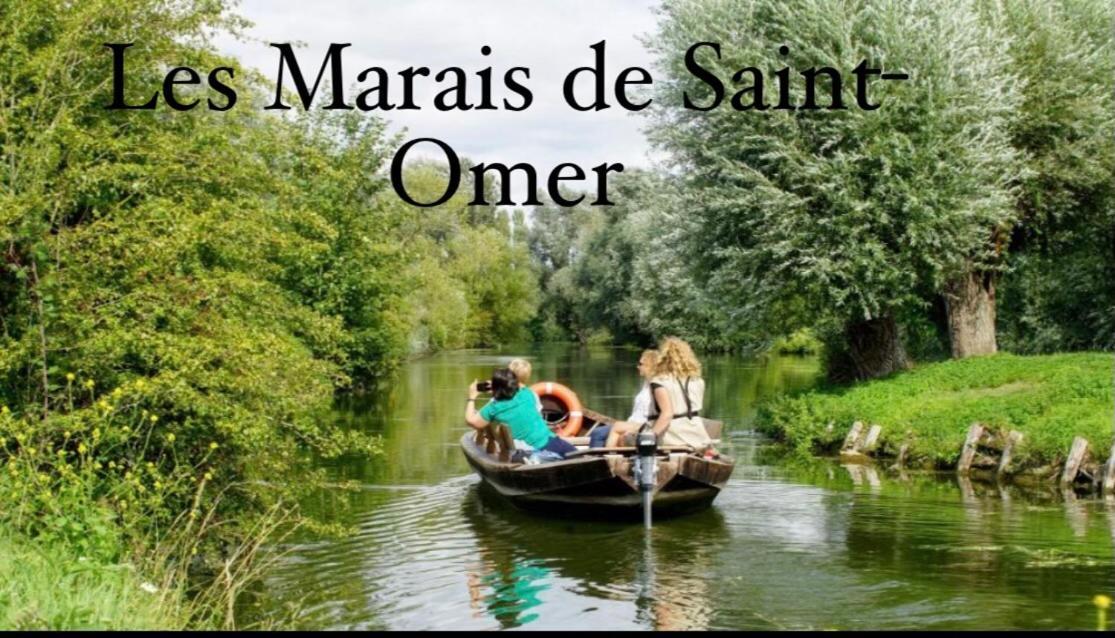 Le Clos Des Glycines Saint-Martin-Lez-Tatinghem Exteriör bild