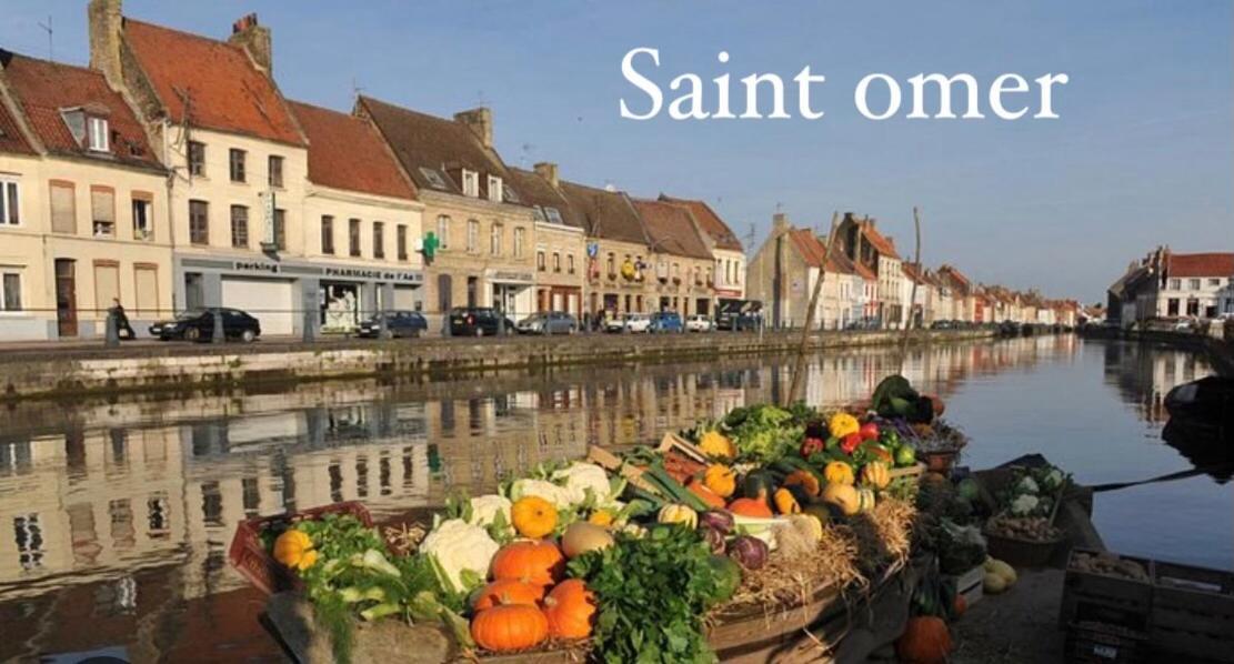 Le Clos Des Glycines Saint-Martin-Lez-Tatinghem Exteriör bild